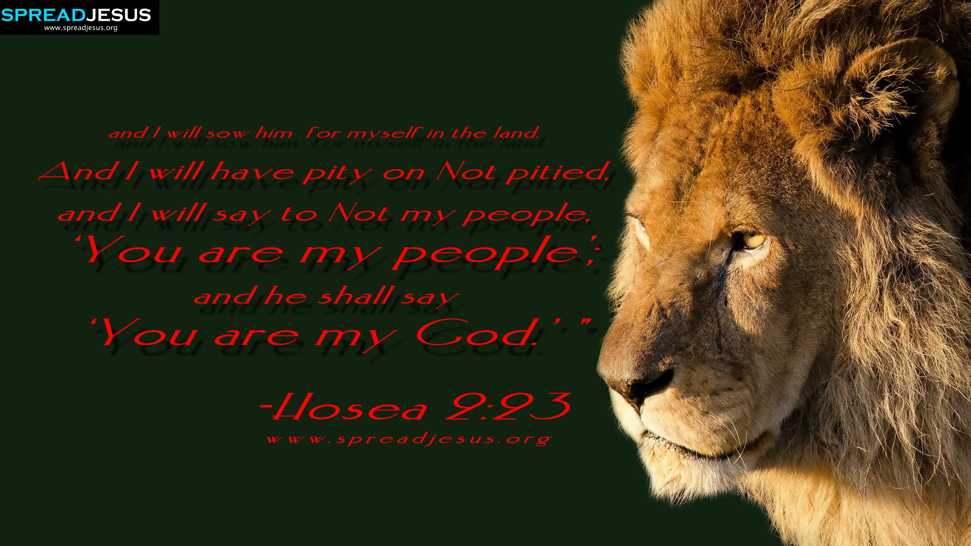 Bible Quotes Hd Wallpapers And I Will Sow Him For Myself - HD Wallpaper 