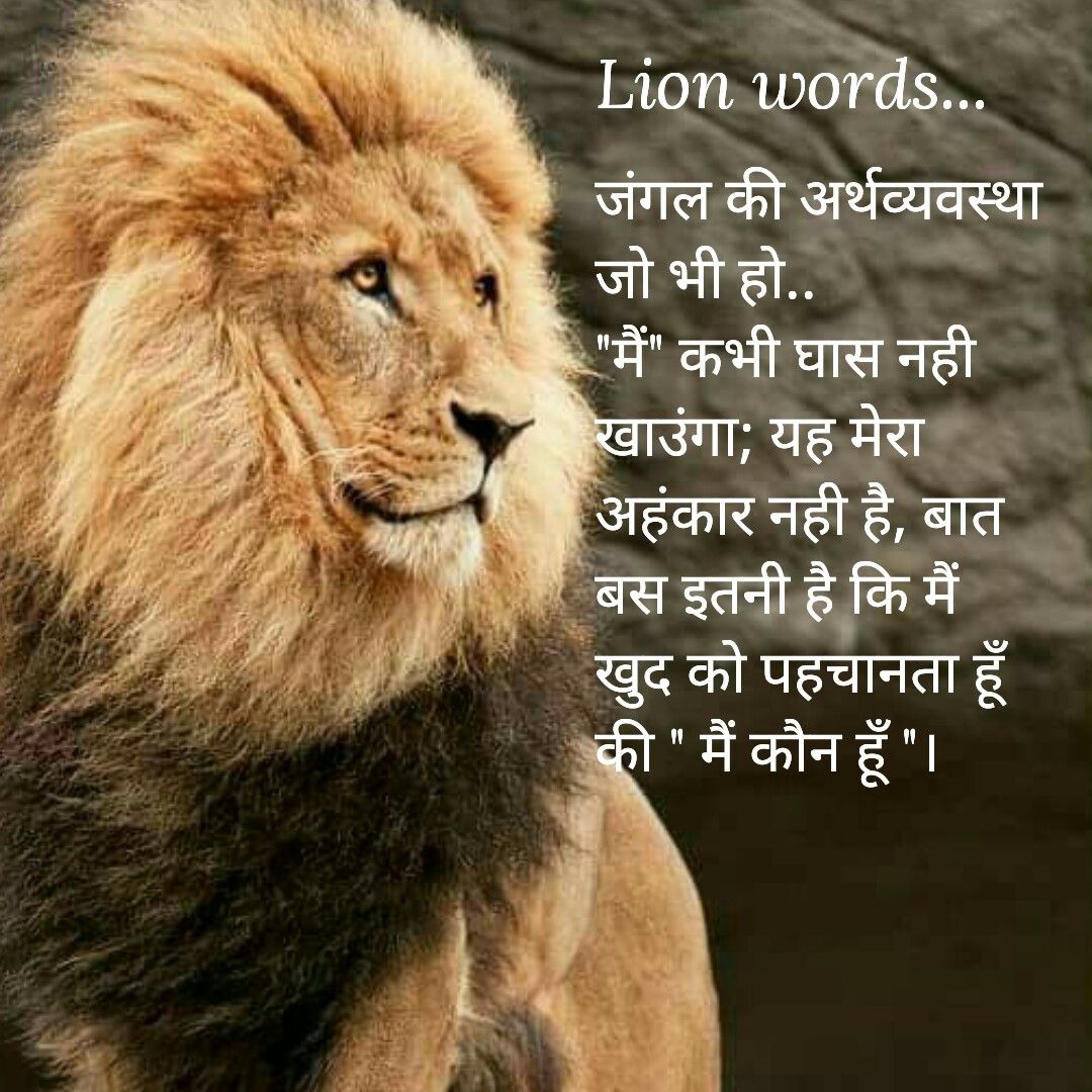 Lion Quotes In Hindi - HD Wallpaper 