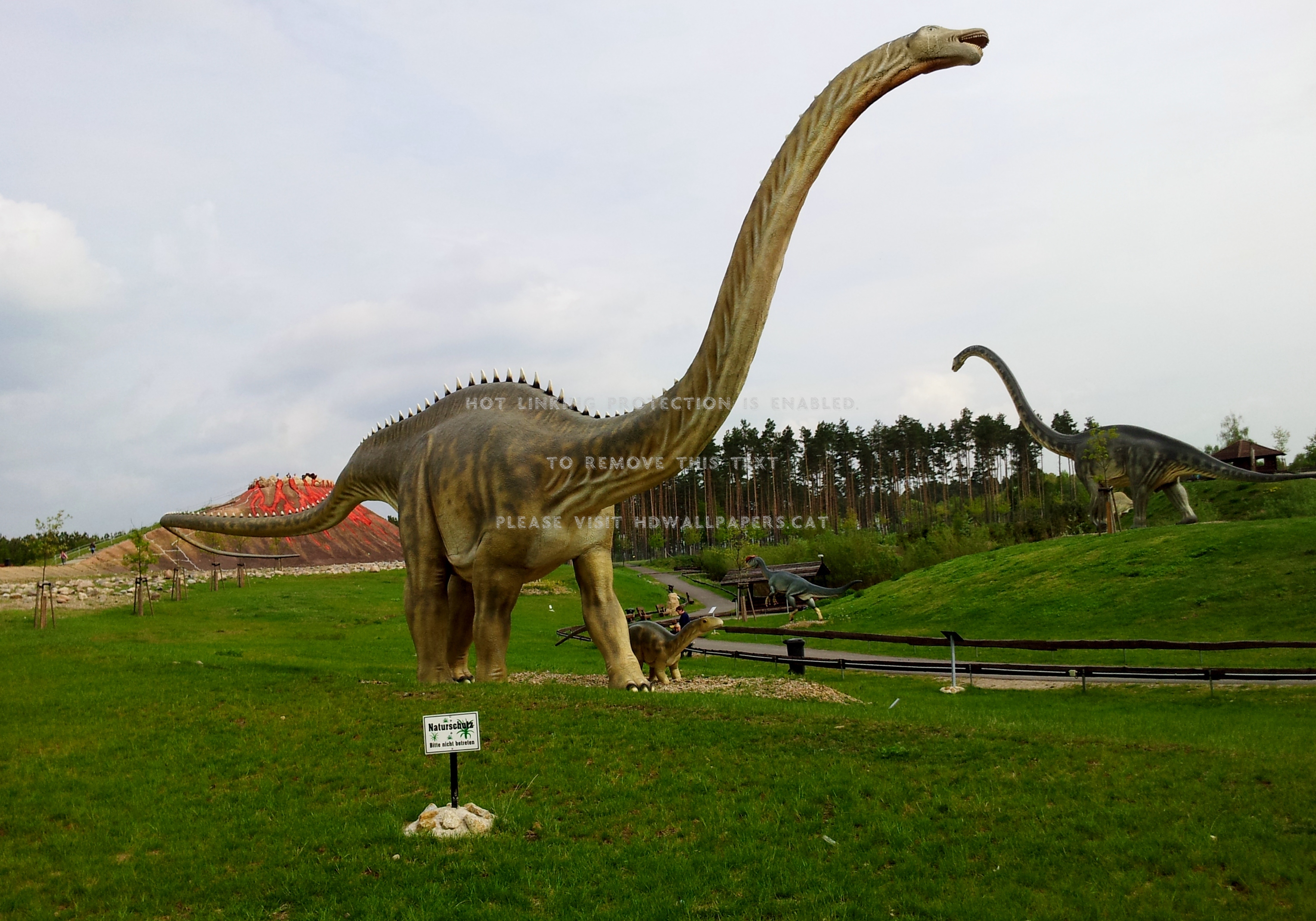 My New Pet Parkwalk Huge Bigfoot Dino - Lesothosaurus - HD Wallpaper 