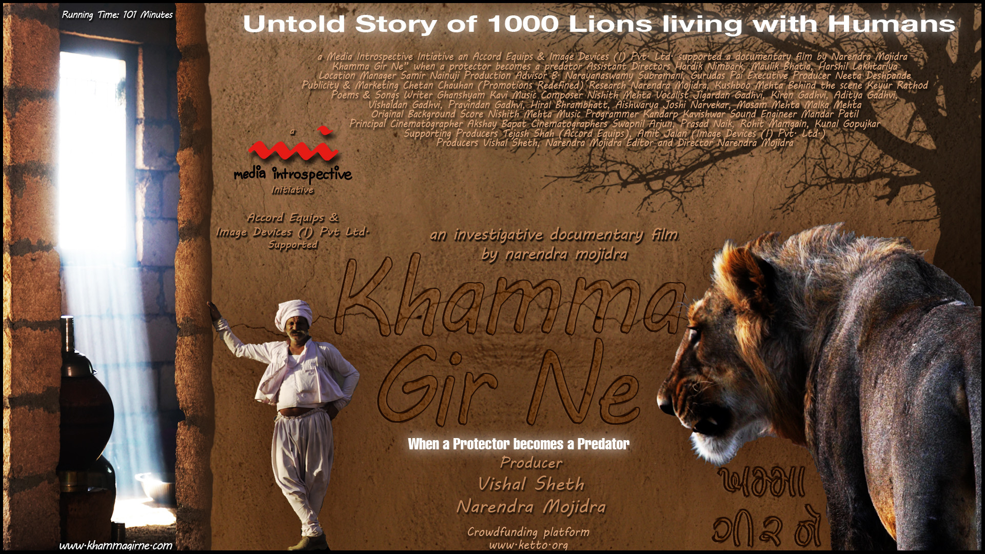 Big Cats - HD Wallpaper 