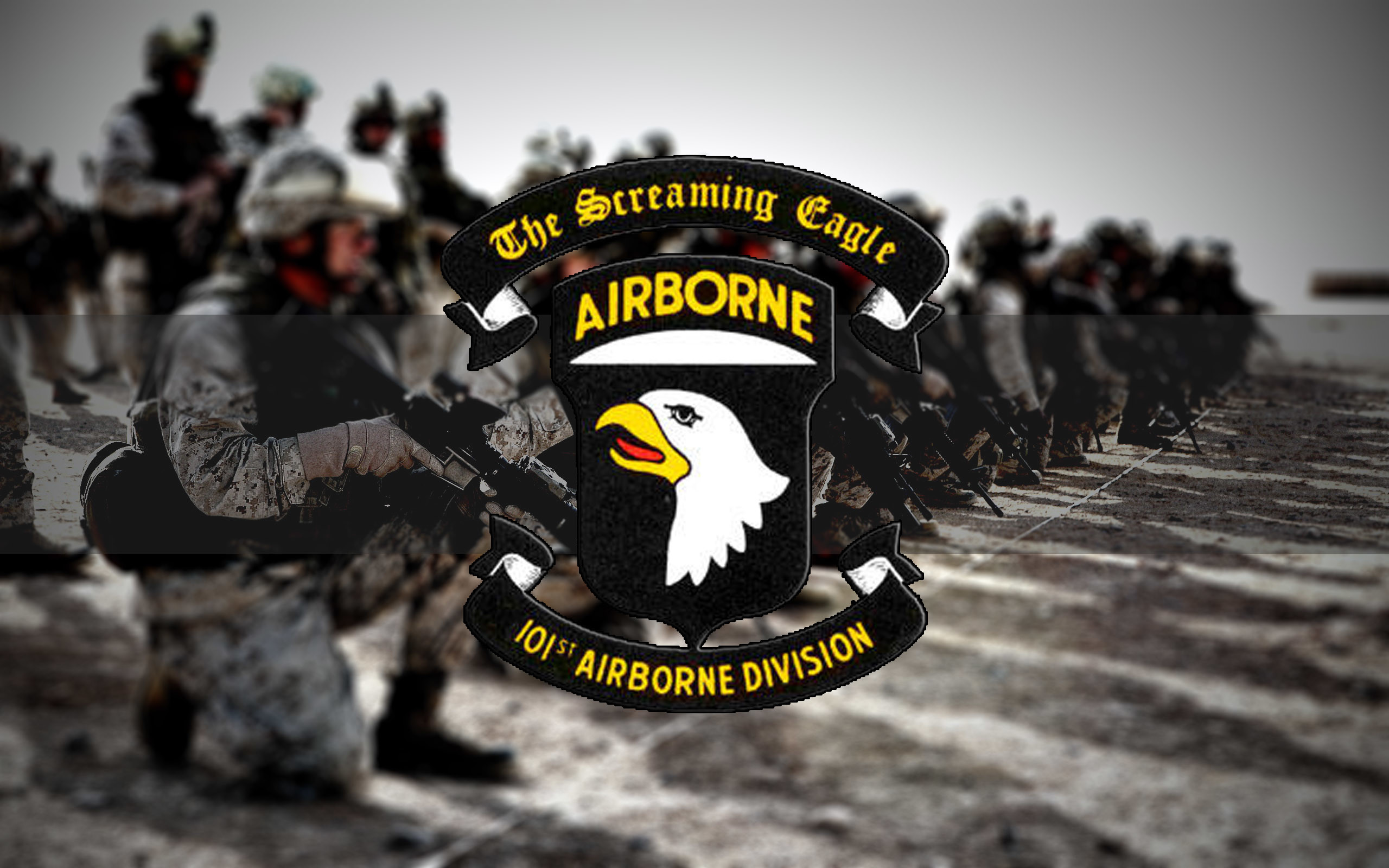 101st Airborne Division - 2560x1600 Wallpaper - teahub.io