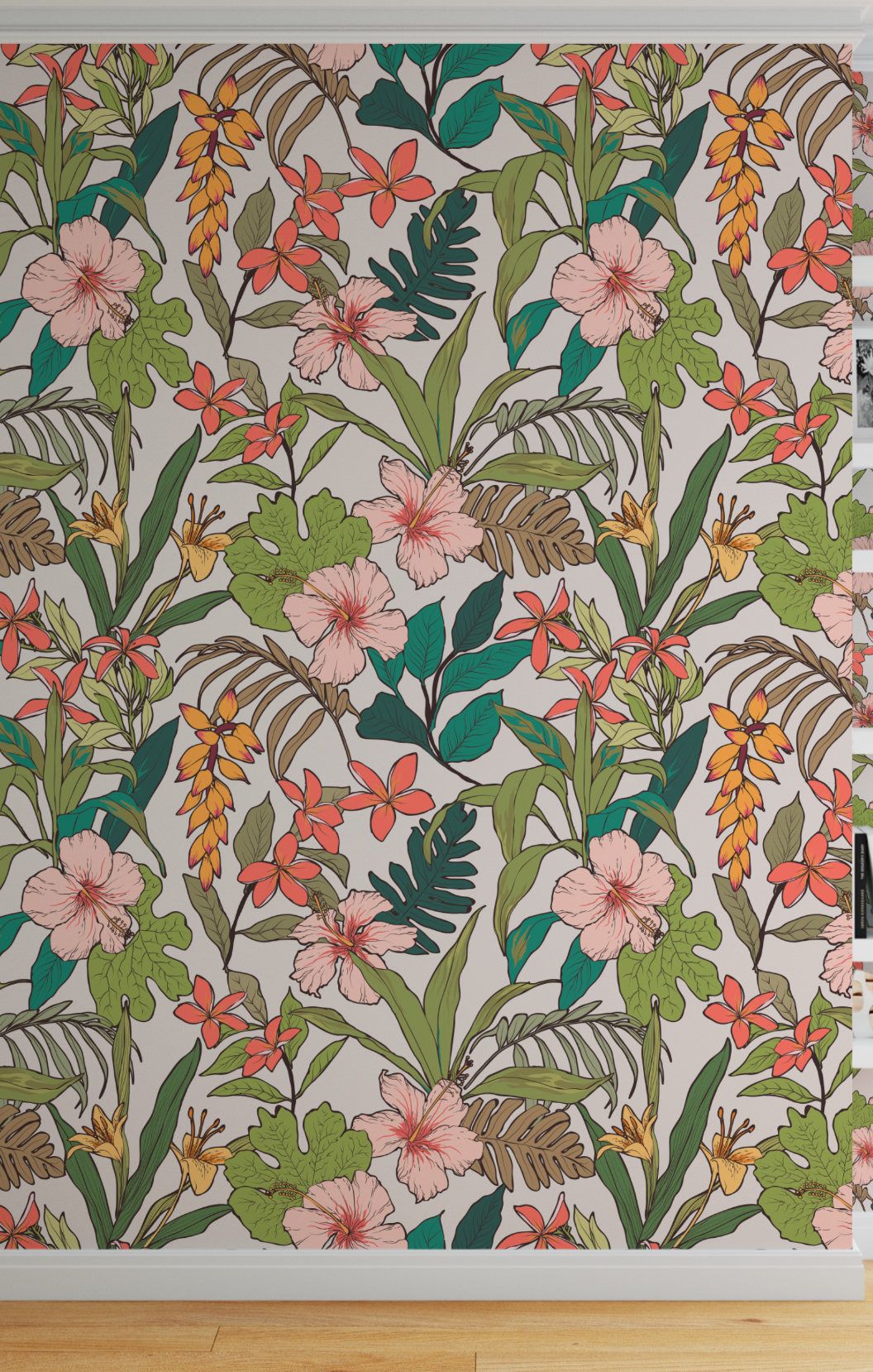 Impatiens - HD Wallpaper 