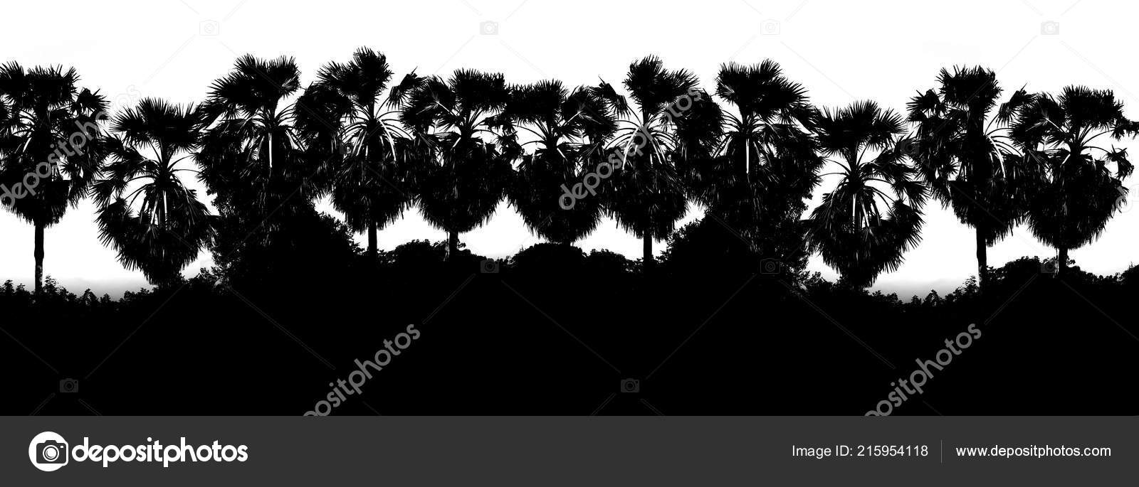 Tree Jungle Silhouette - HD Wallpaper 