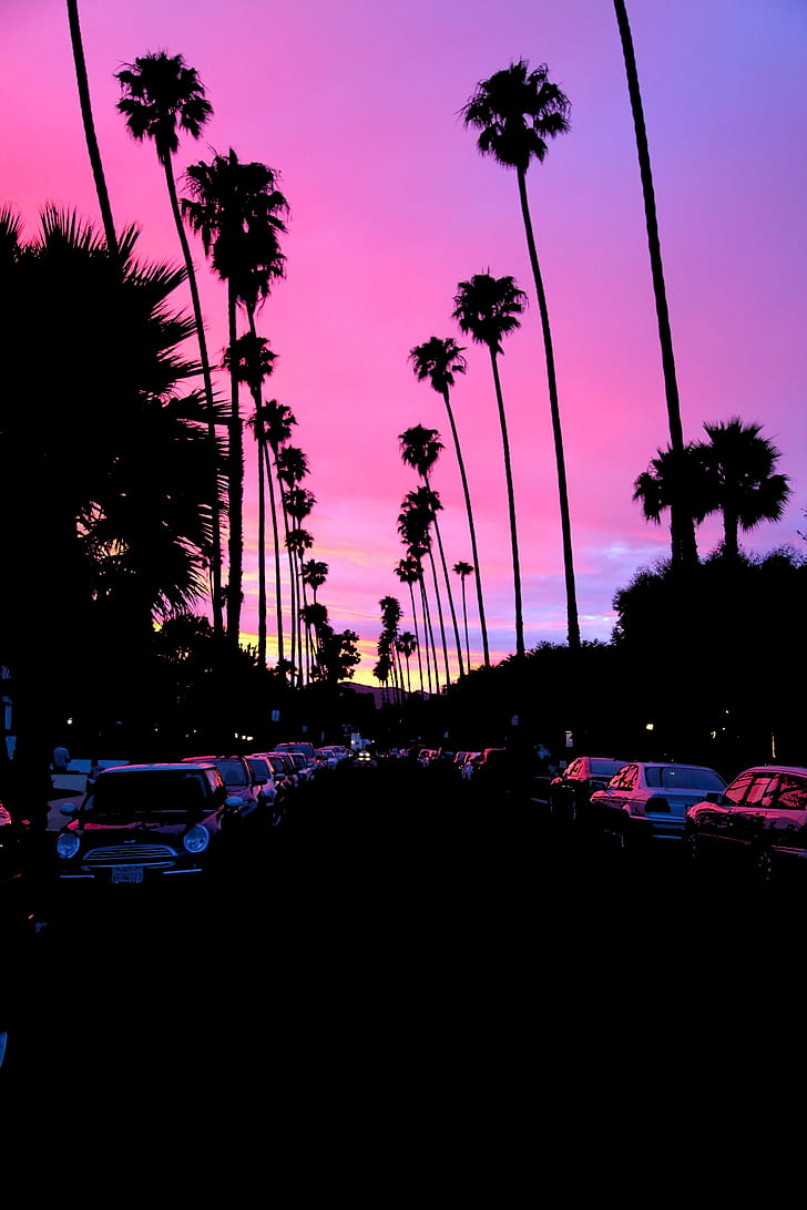 Sunset, Palm Trees, Road, Car, California, Dark, Hd - Palm Tree Road Sunset - HD Wallpaper 