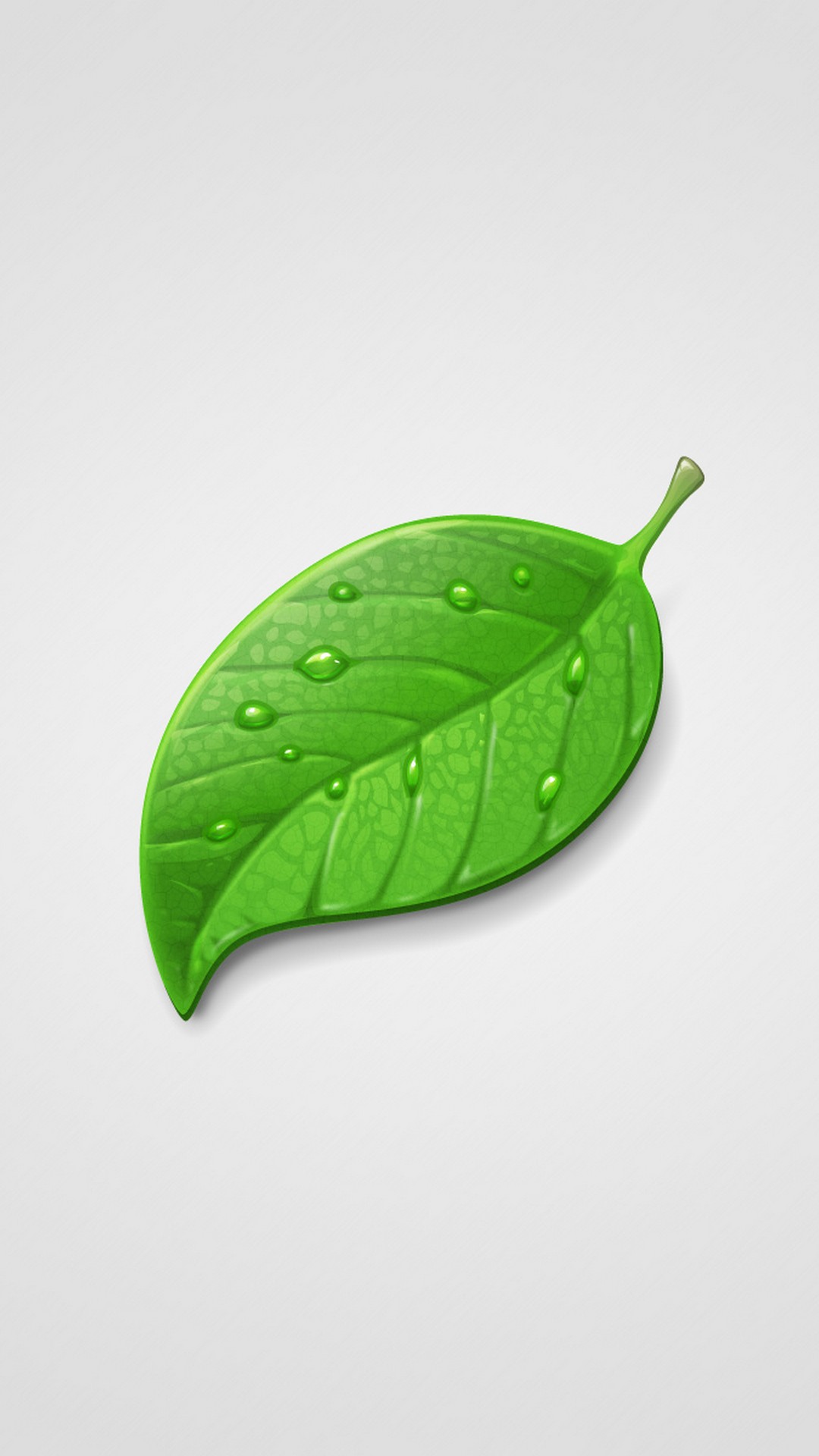 Iphone X Wallpaper Green Leaf With Image Resolution - Hartalika Teej Png - HD Wallpaper 