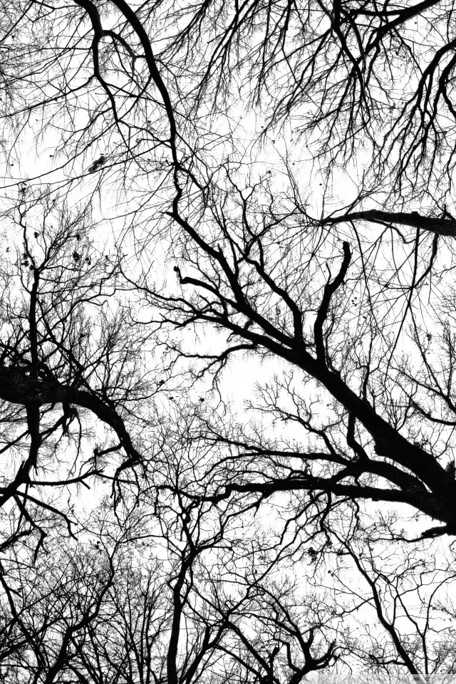 Background Photo Hd Black White - HD Wallpaper 