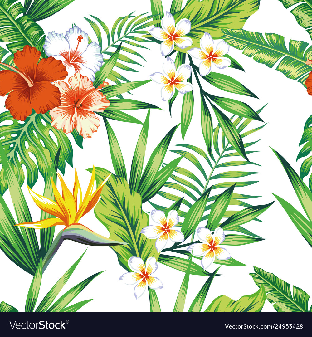 Background With Plants And Flowers - HD Wallpaper 