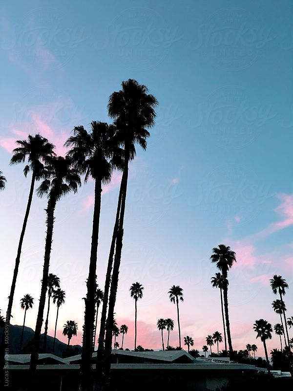 Sunset - HD Wallpaper 