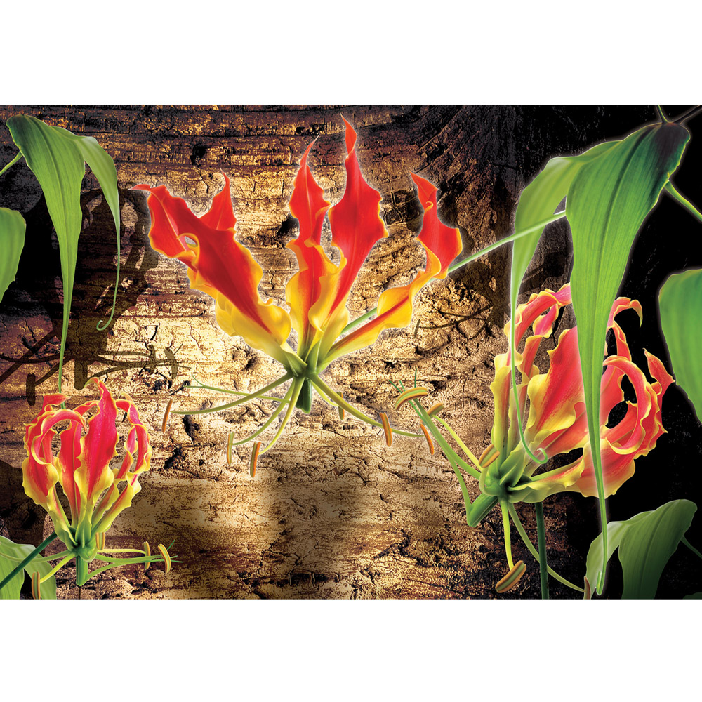 Lady Tulip - HD Wallpaper 