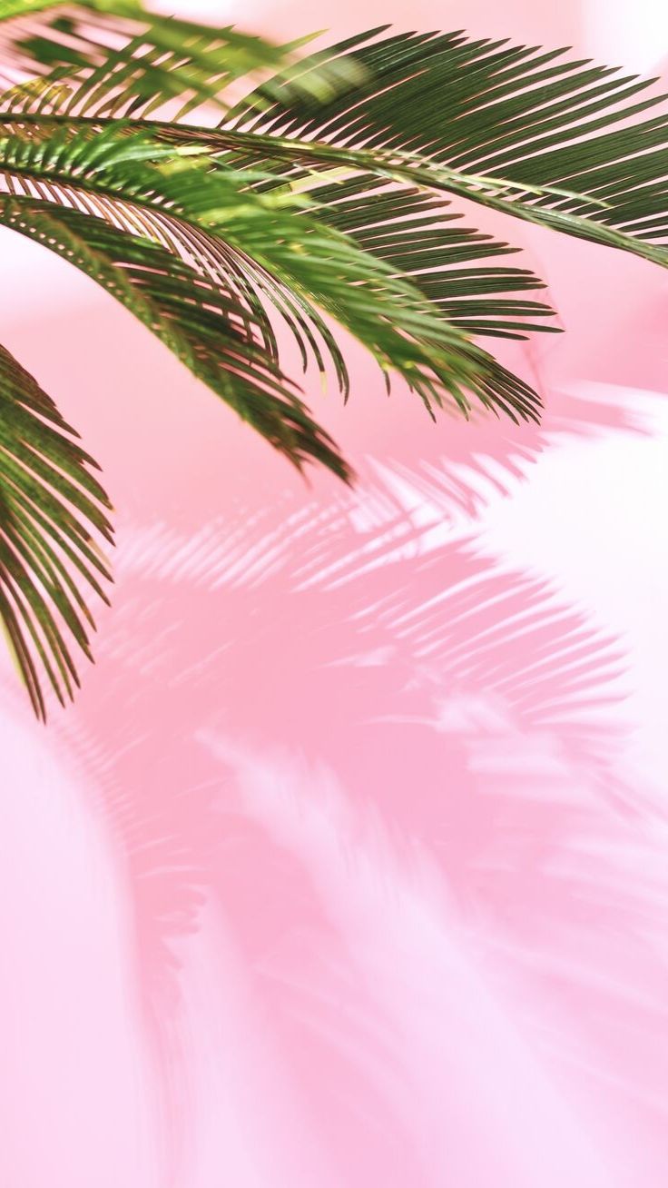 Pastel Iphone 11 Iphone 11 Pro Iphone 11 Pro Max Wallpapers Iphone 11 Pro Max 736x1308 Wallpaper Teahub Io Pastel Iphone 11 Iphone 11 Pro Iphone 11 Pro Max Wallpapers Iphone 11 Pro Max 736x1308 Wallpaper Teahub Io