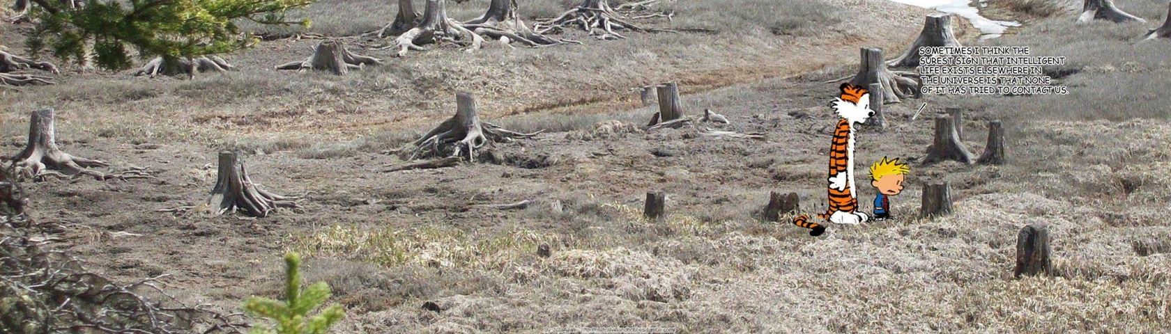 Calvin And Hobbes In The Chopped Forest - Calvin And Hobbes Wallpaper Real Life - HD Wallpaper 