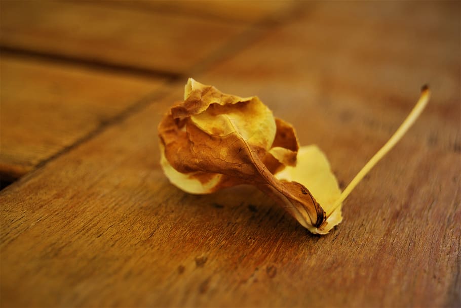 Wood, Food, Wallpaper, Rustico, Still Life, Nature, - Macro Photography - HD Wallpaper 