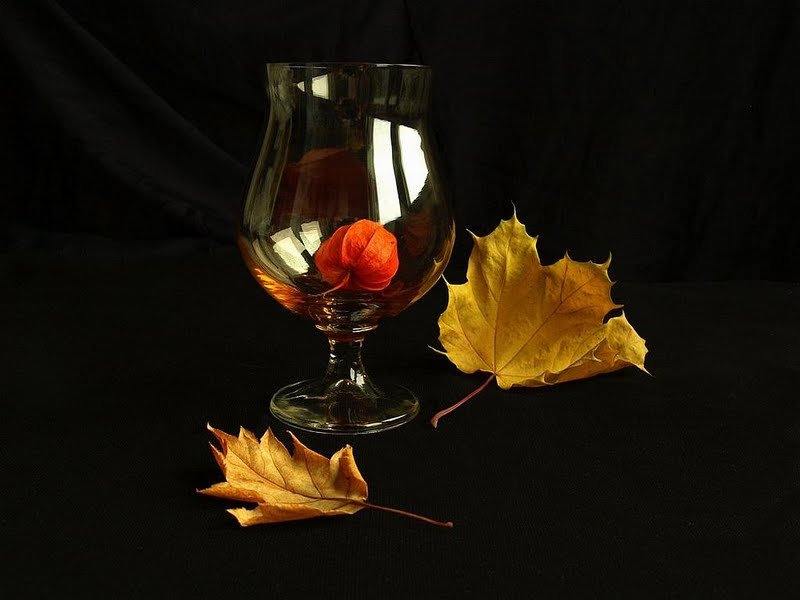 Dry Leaves Wallpaper - Still Life - HD Wallpaper 