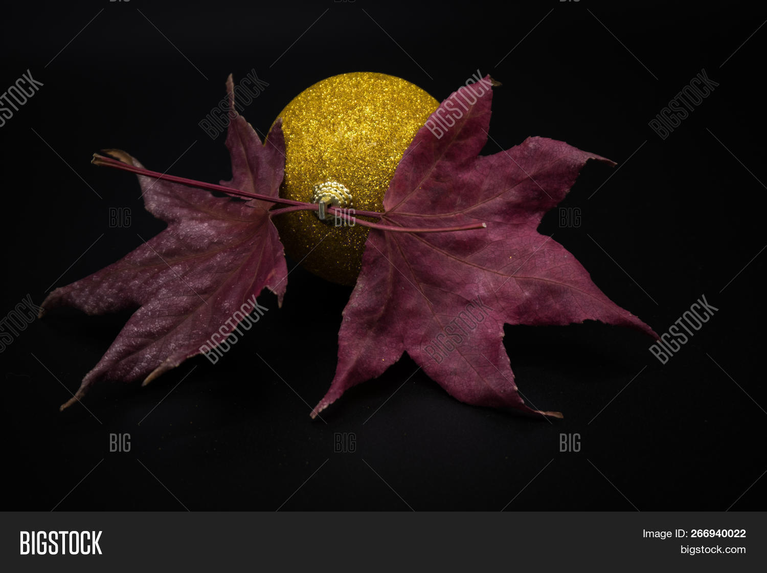 Crime Scene Police Do Not Cross - HD Wallpaper 