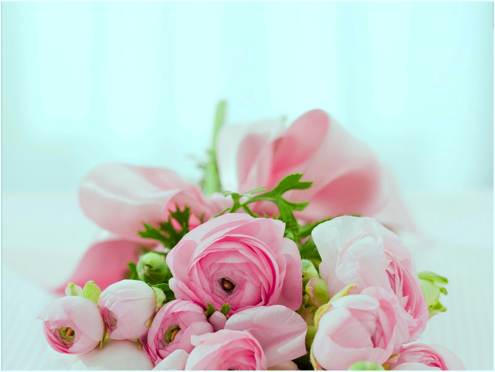 Image For Roses Bouquet Congratulations Arrangement - Parabens Flores E Livros - HD Wallpaper 