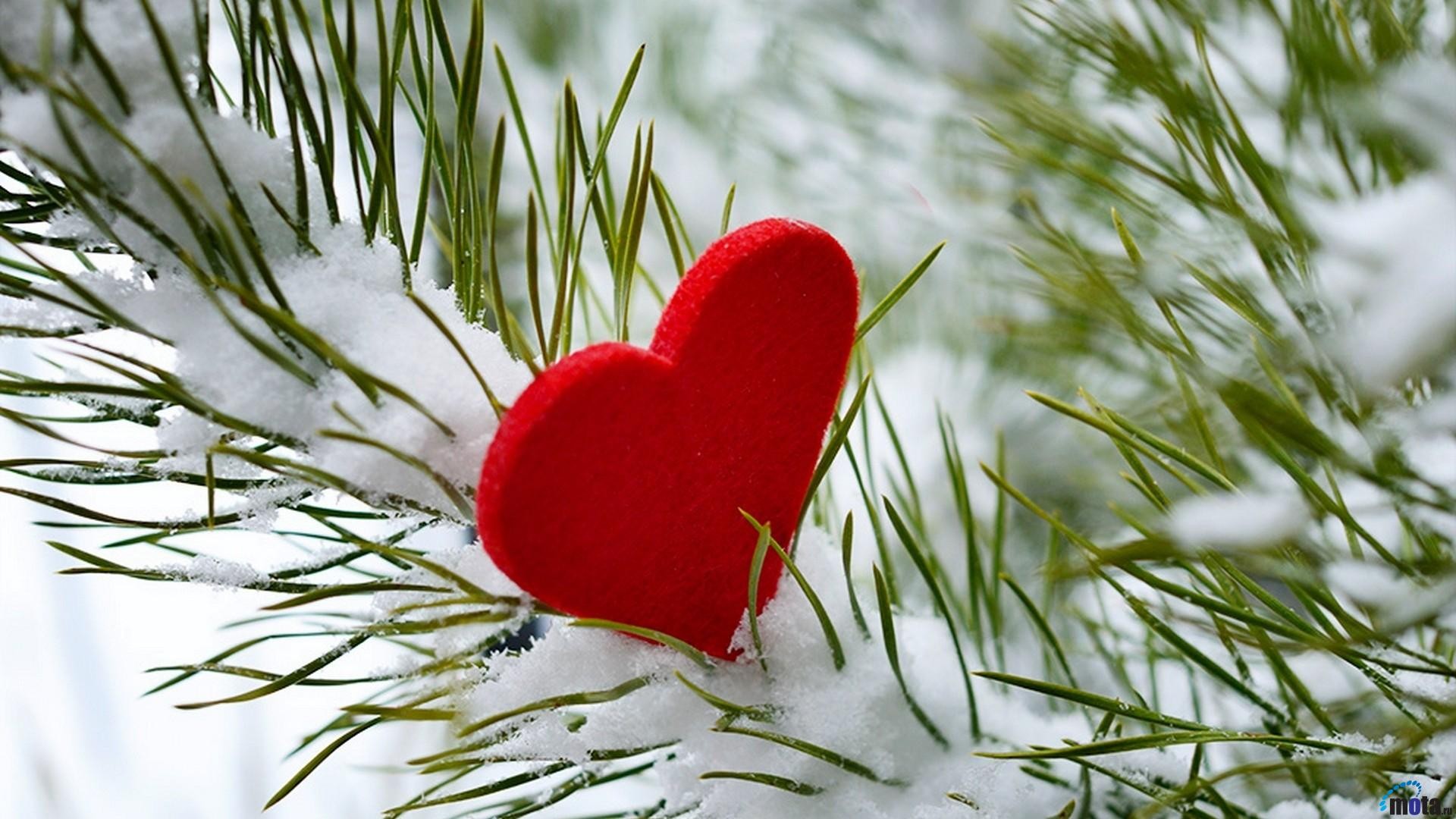 Love Winter Heart Tree - HD Wallpaper 