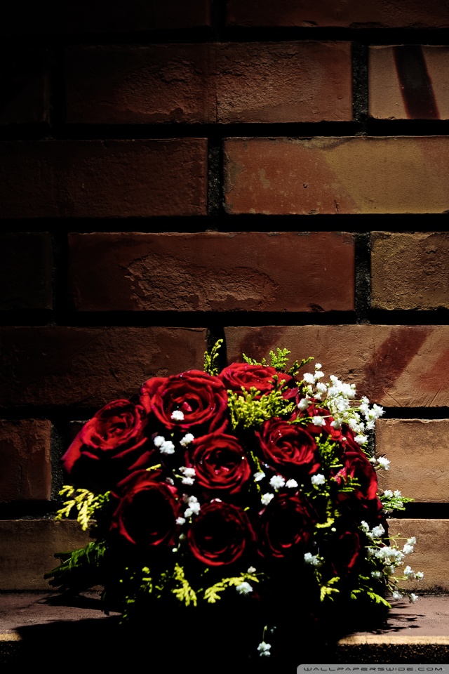 Marriage Hd Wallpaper For Mobile - HD Wallpaper 