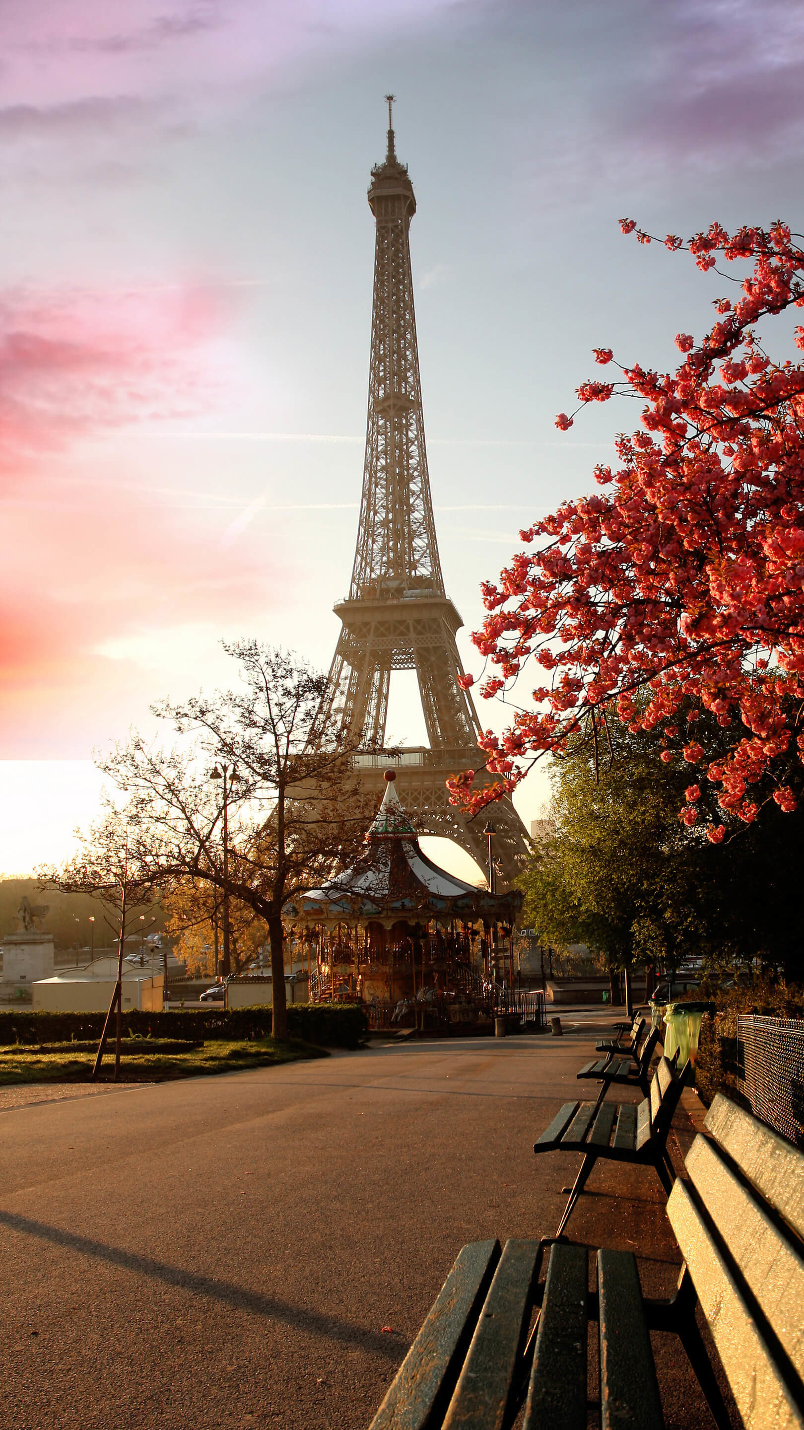 Iphone Wallpapers Hd Eiffel Tower Data Src New Eiffel - Eiffel Tower - 1620x2880 Wallpaper Iphone Wallpapers Hd Eiffel Tower Data Src New Eiffel - Eiffel Tower - 1620x2880 Wallpaper