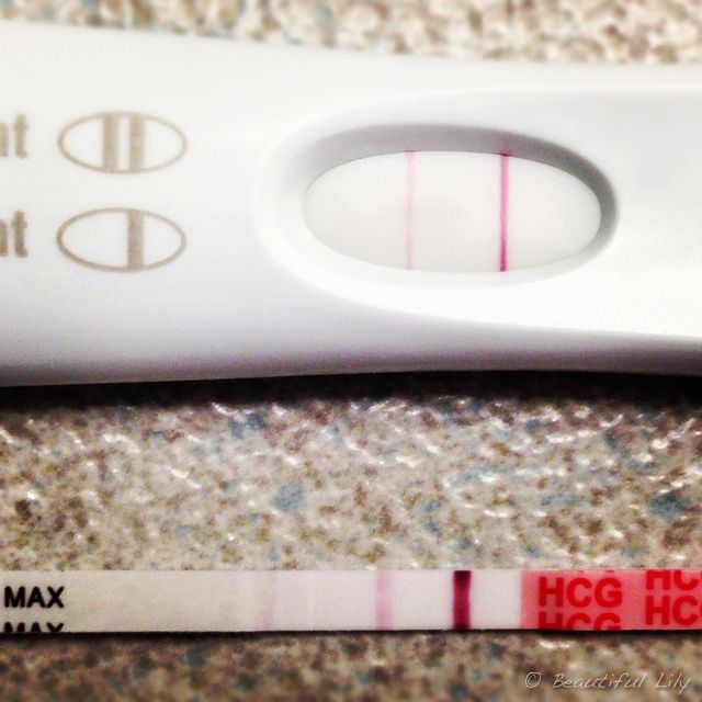 Pregnancy Test - HD Wallpaper 