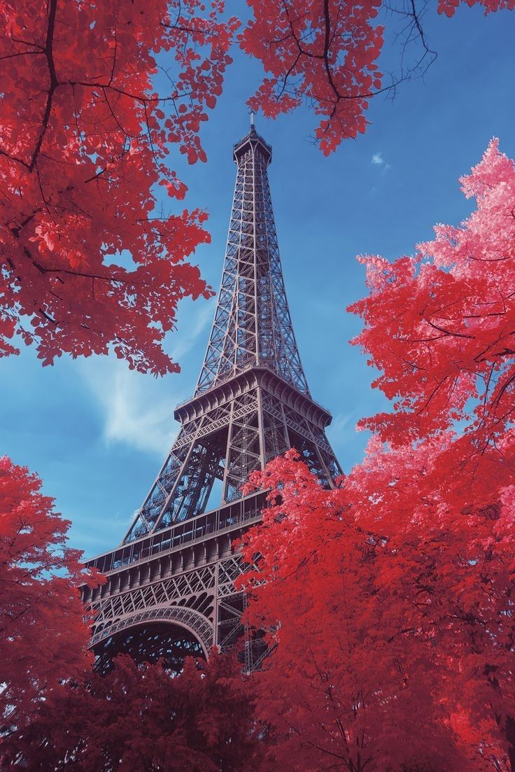 Eiffel Tower - HD Wallpaper 