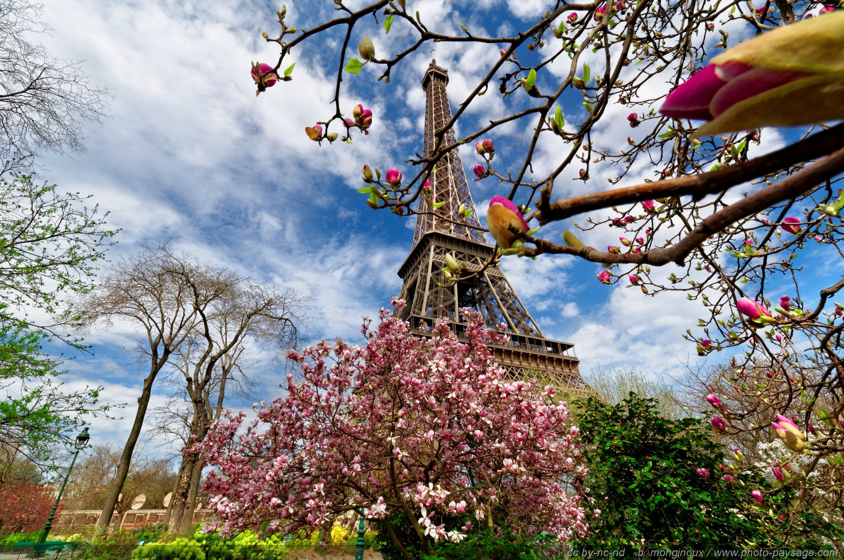 Spring Season In France - HD Wallpaper 