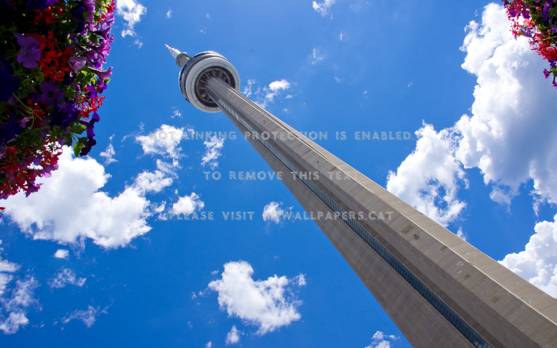 Toronto S Landmark Cn Tower Canada - Cumulus - HD Wallpaper 