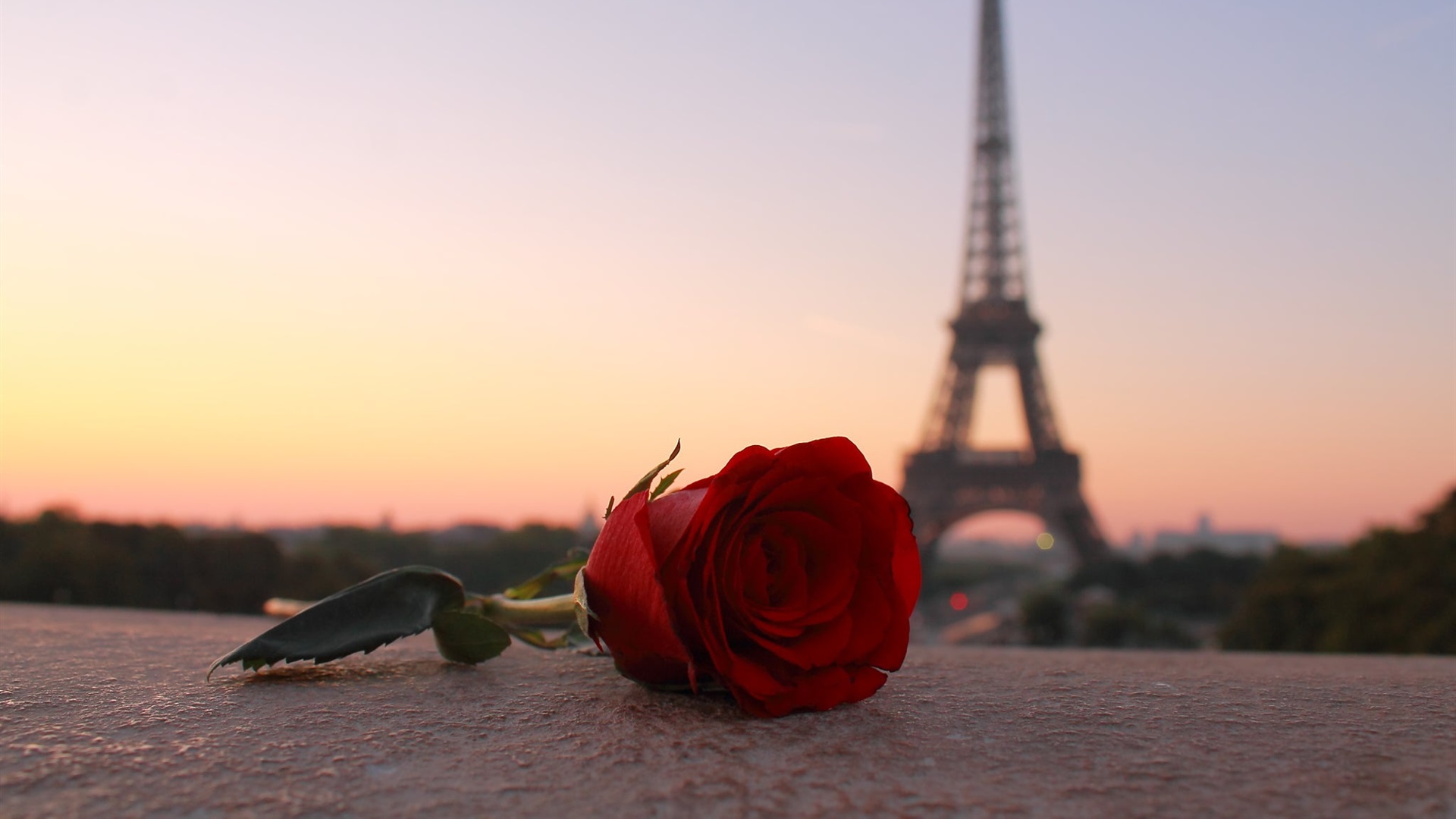 Paris - HD Wallpaper 