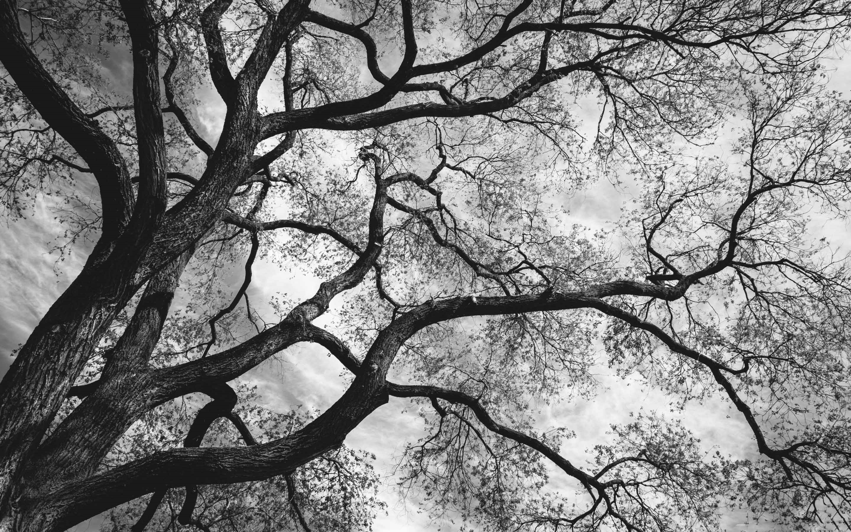 Painting Balck And White Ideas - HD Wallpaper 