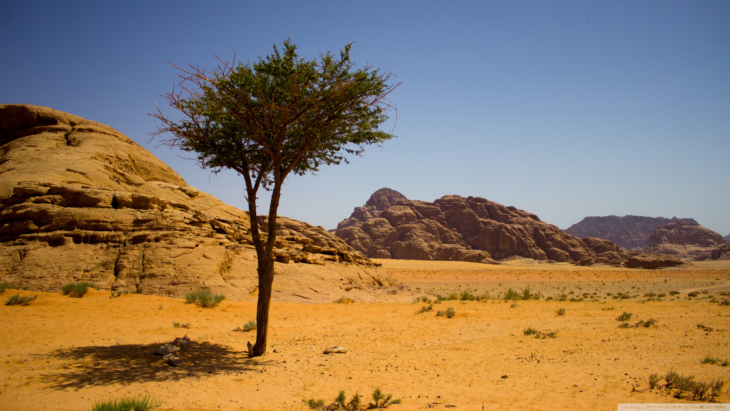 Tablet Computer - HD Wallpaper 