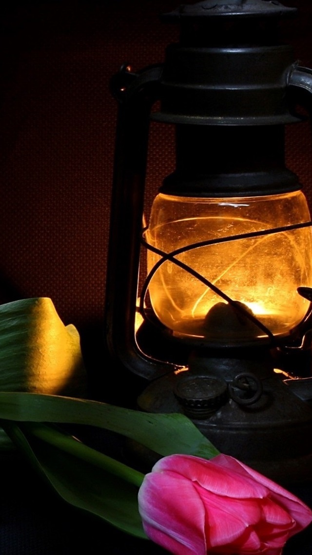 Iphone Wallpaper Rum, Wine, Bottle, Cup, Tulip, Lamp - Открытки С Днём Рождения Мужчине Куму - HD Wallpaper 