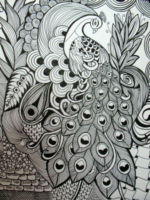 Zentangle Art Peacock - HD Wallpaper 