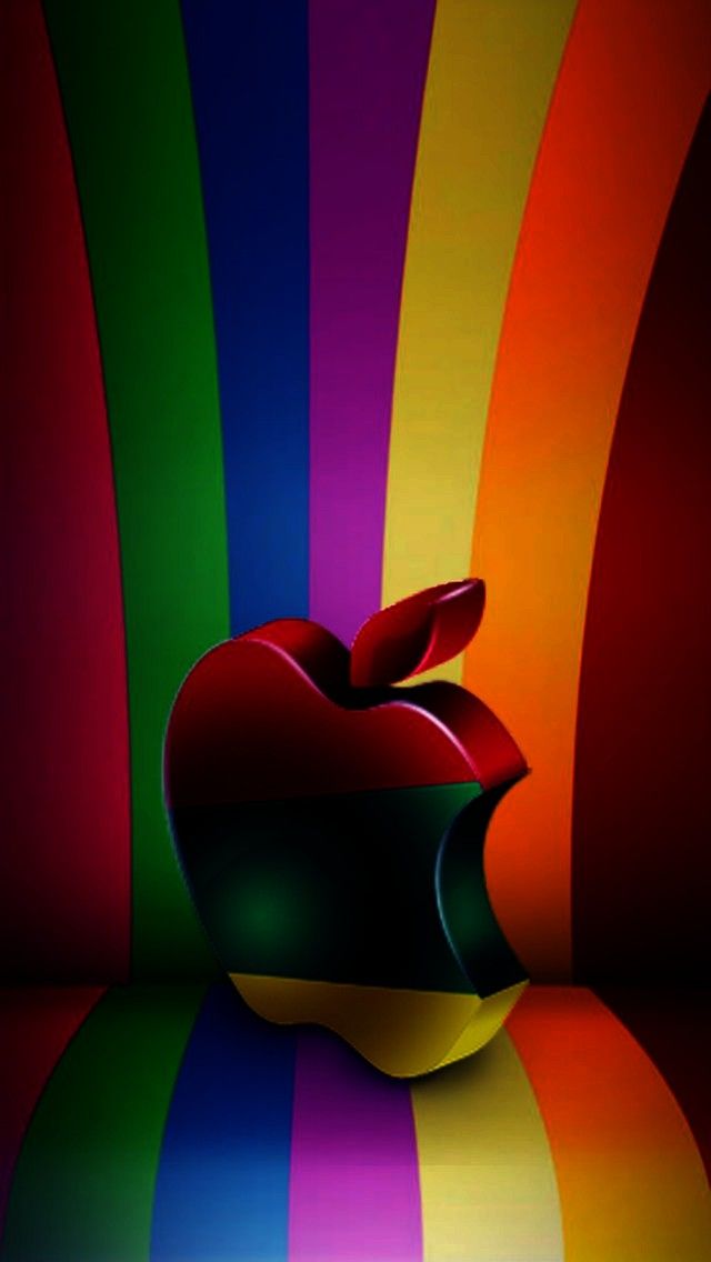 Still Life Photography - HD Wallpaper 