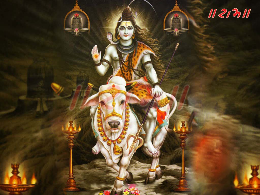 Baba Dham - Lord Shiva On Cow - HD Wallpaper 