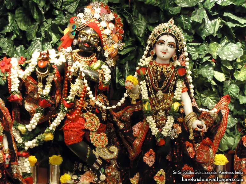 Sri Radha Close Up Wallpaper - International Society For Krishna Consciousness - HD Wallpaper 