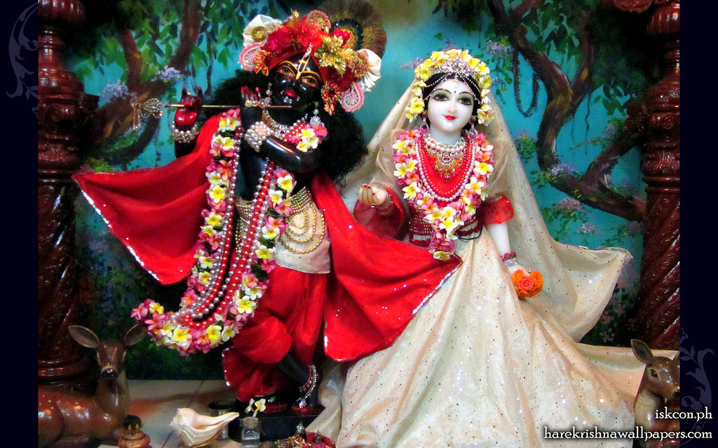 Iskcon Radha Madhav Hd - HD Wallpaper 