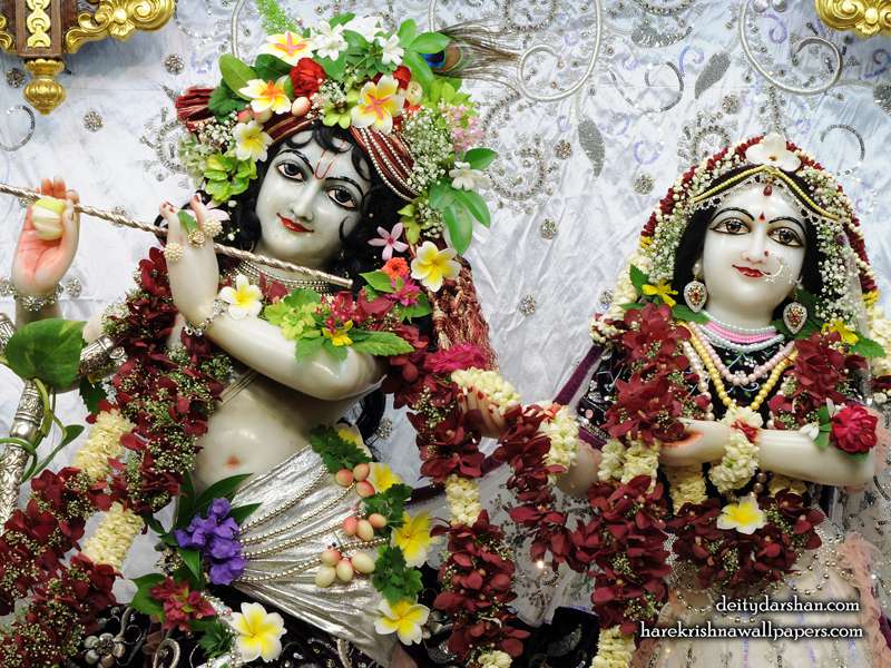 Sri Sri Radha Gopinath Close Up Wallpaper - Radha Krishna Iskcon Temple - HD Wallpaper 