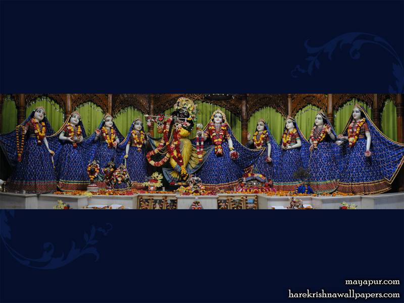 Sri Radha Madhava With Asta Sakhi Wallpaper - Sri Radha Madhava With Astha Sakhi - HD Wallpaper 