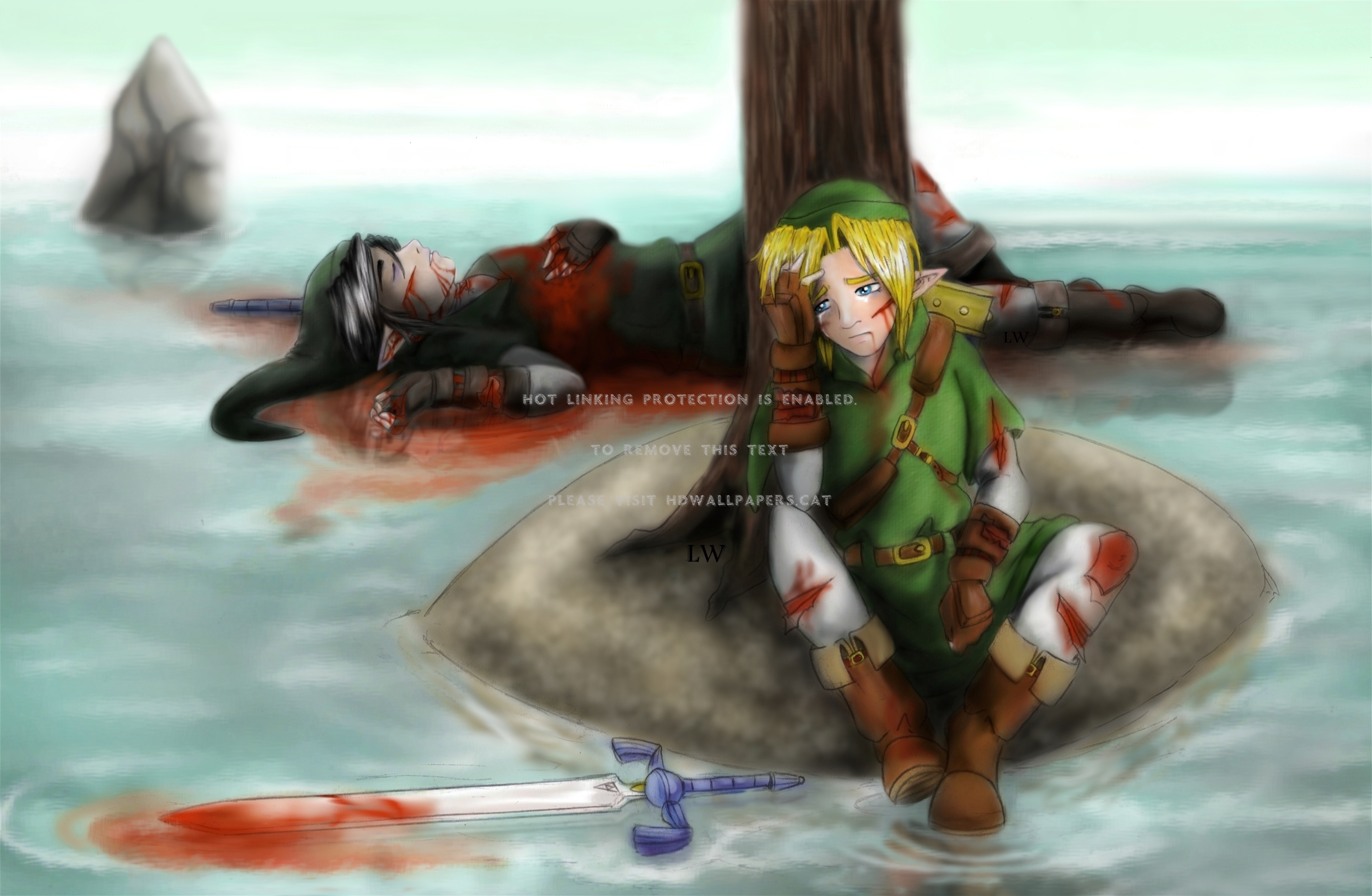 Link Kills Dark Sword Water Temple Death - Legend Of Zelda Link Death - HD Wallpaper 