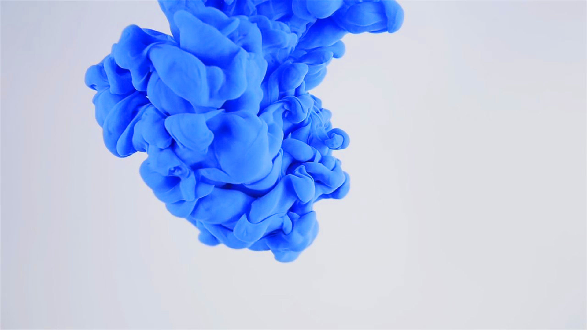 Hd Pics Photos Stunning Attractive Color Explosion - Peony - HD Wallpaper 