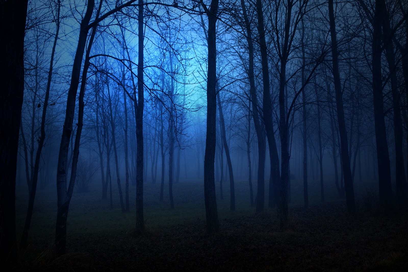 Paranormal Hd Wallpapers, Desktop Wallpaper - Paranormal Backgrounds - HD Wallpaper 