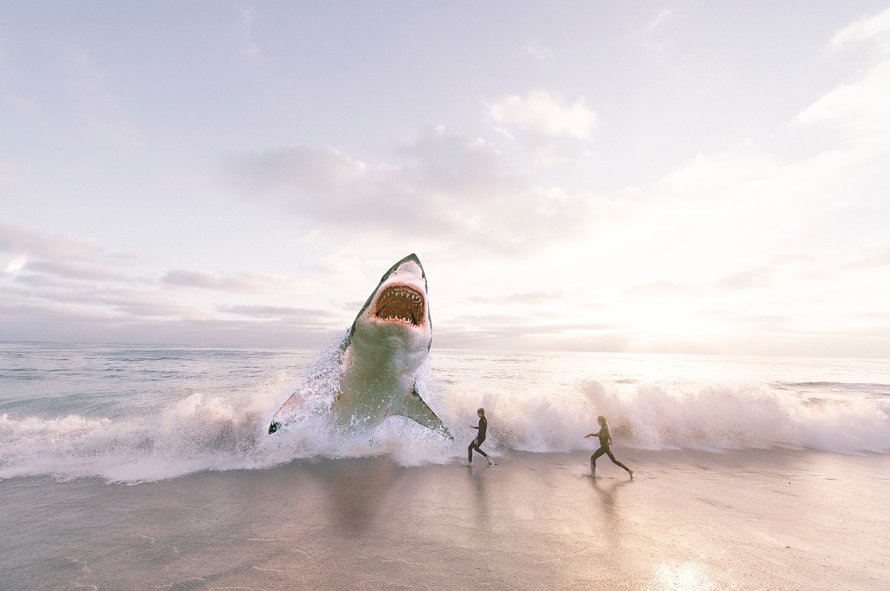 Diving,sea Waves,free Pictures, Free Photos, Free Images, - People Running From Shark - HD Wallpaper 