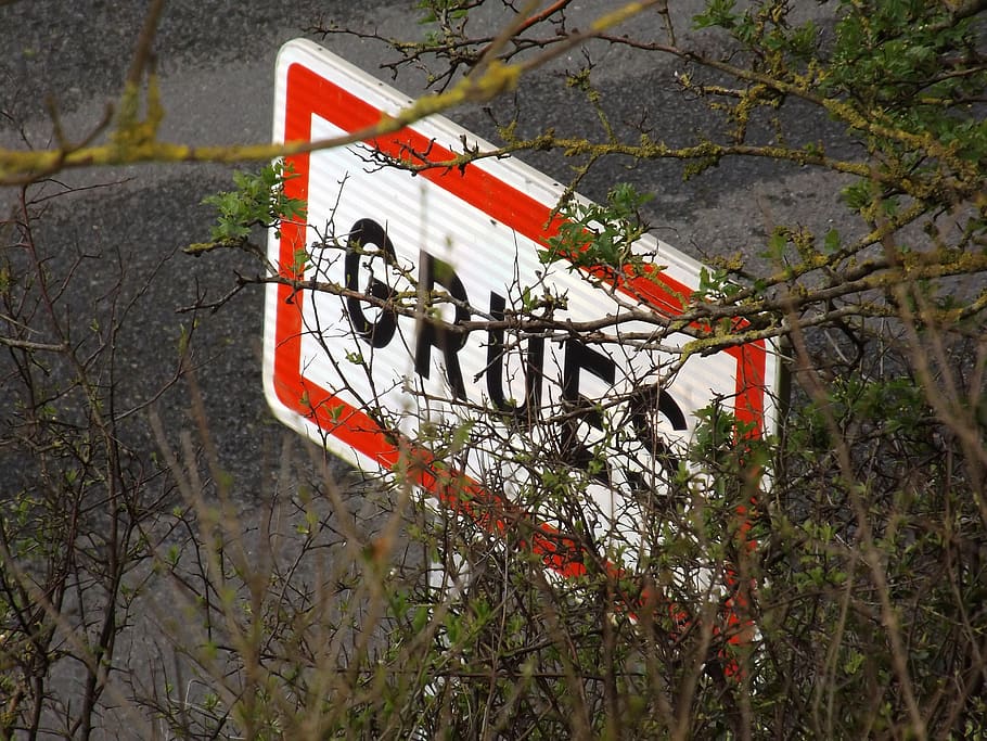 Panel, Security, Red, Danger, Day, Tree, No People, - Tree - HD Wallpaper 