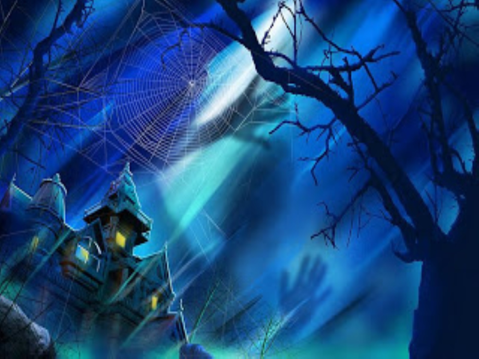 Spider Web In Moonlight - HD Wallpaper 