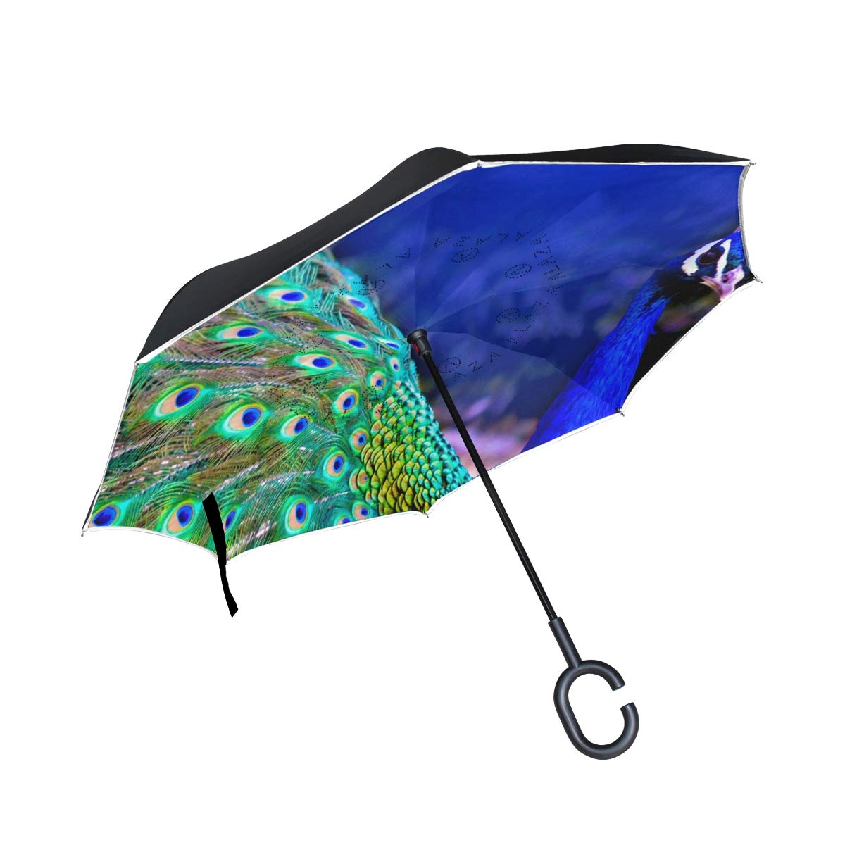 Umbrella - HD Wallpaper 