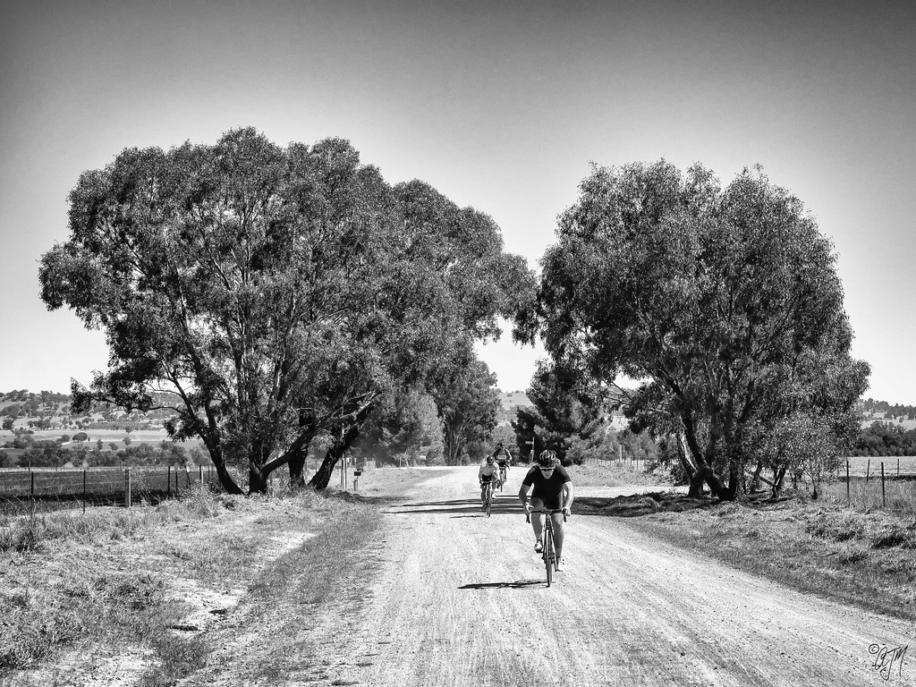 Monochrome - HD Wallpaper 