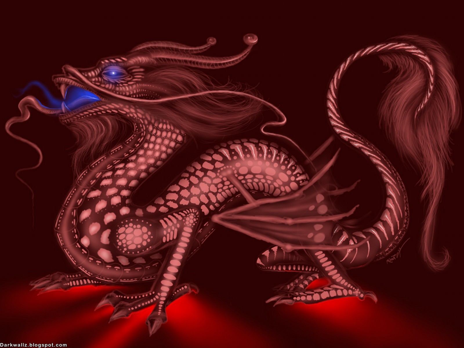 Dark Dragons Wallpapers 77 Dark Wallpapers - Voodoo Dragon - HD Wallpaper 