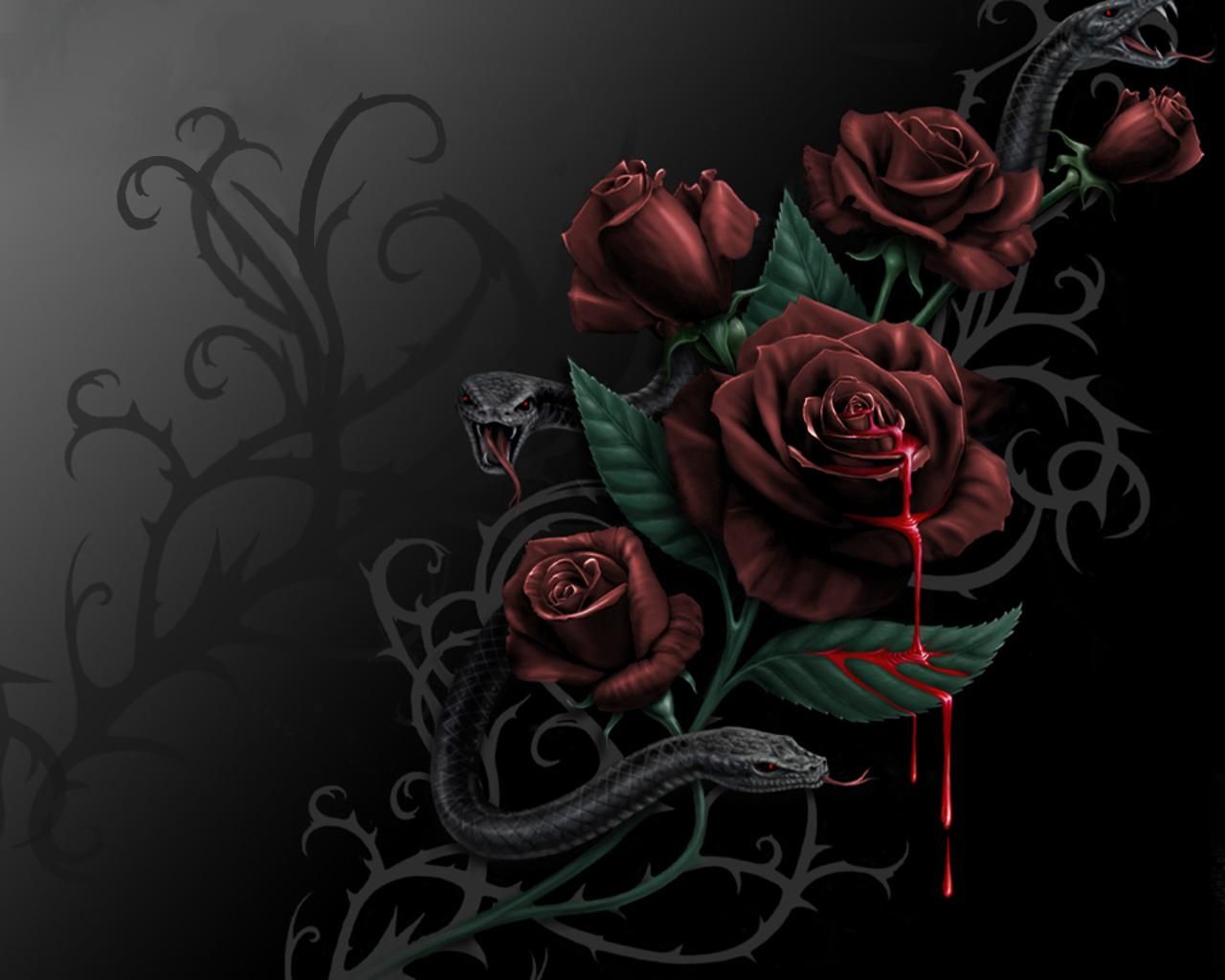 Bleeding Roses - HD Wallpaper 