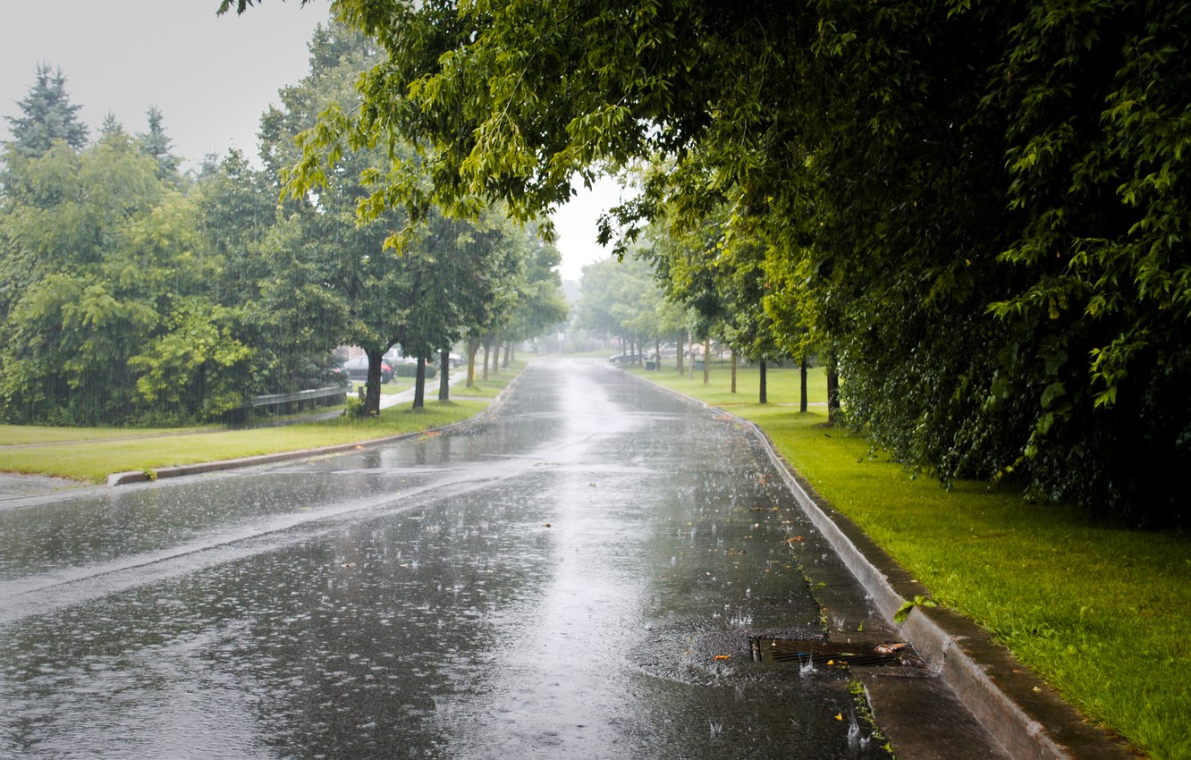 Photo Wallpaper City, Road, Trees, Rainy Day - Monsoon Season In Pakistan - HD Wallpaper 