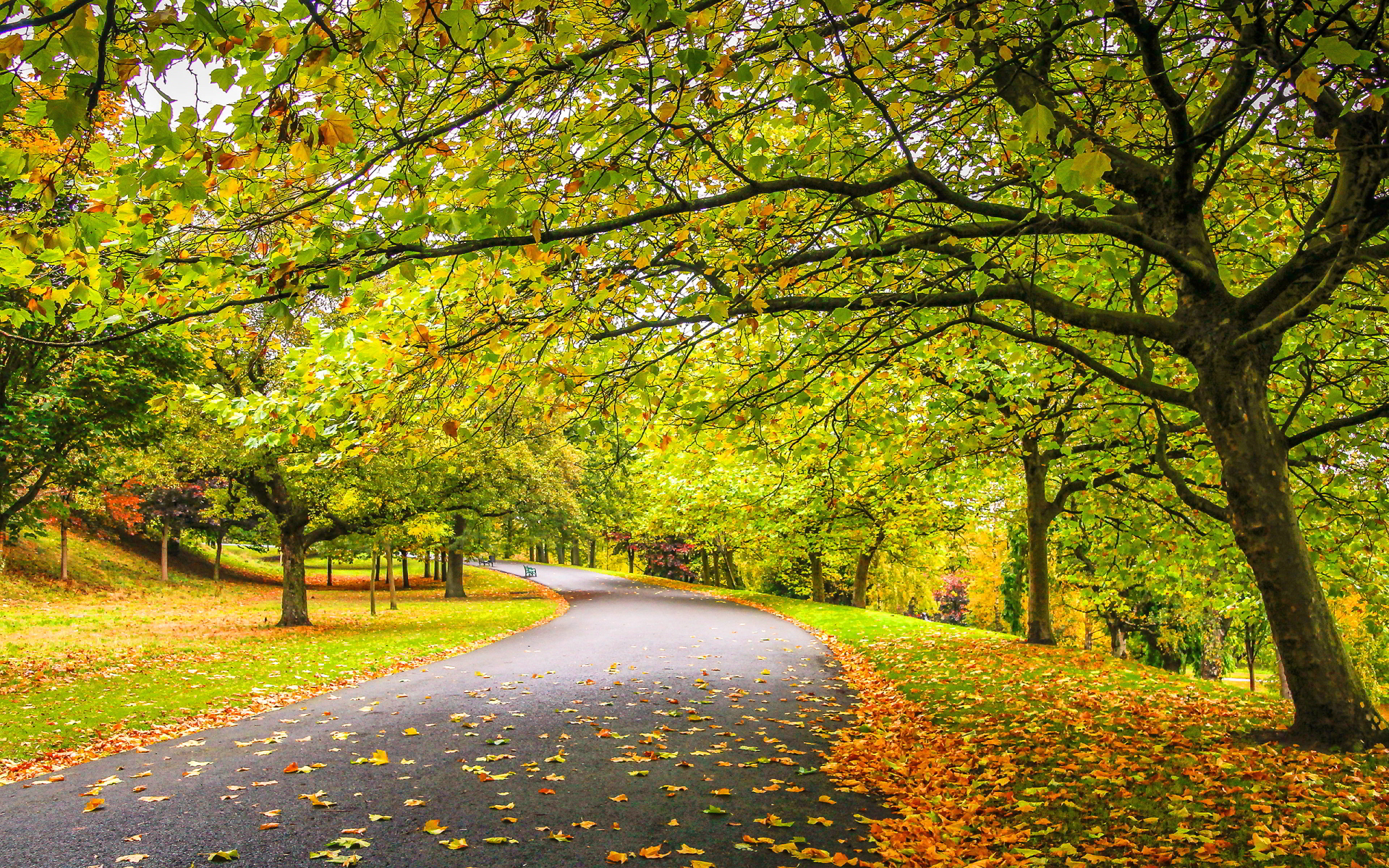 Sofia Rasmussen Bright, The Road In The Park - Road And Park - HD Wallpaper 