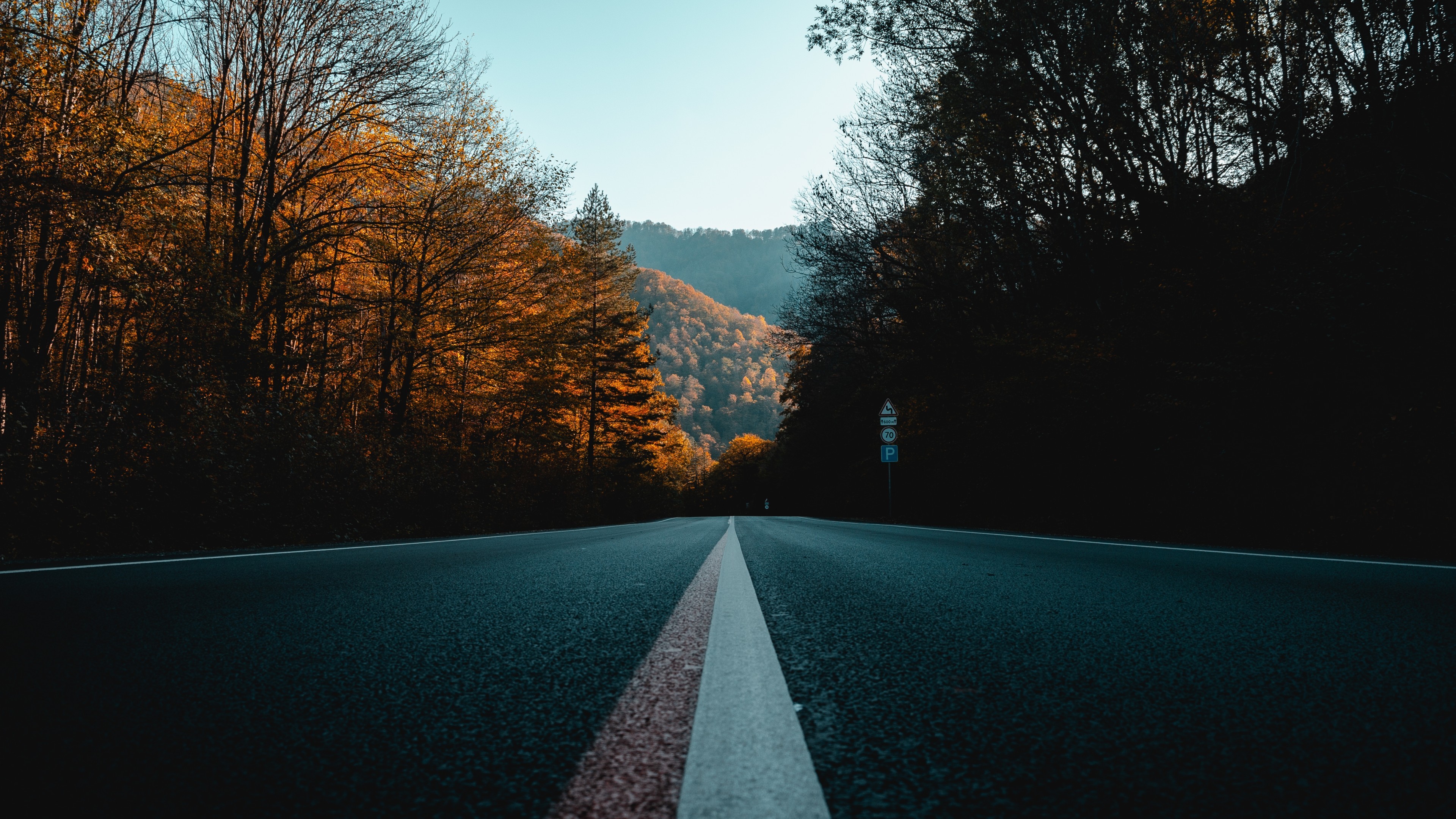 Long Road, Asphalt, Trees, Clear Sky - عکس پس زمینه غمگین - HD Wallpaper 